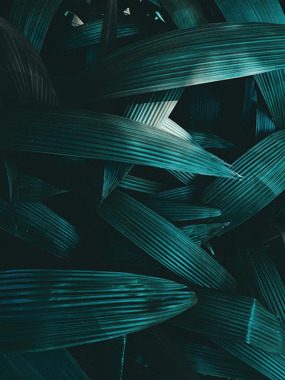 Specialized Project Sprints